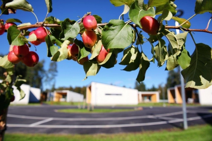 zobacz camping - zdjęcie 12