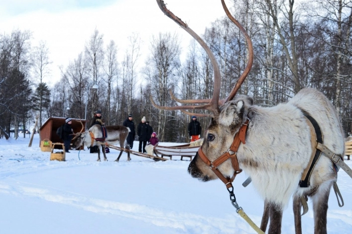 zobacz camping - zdjęcie 11