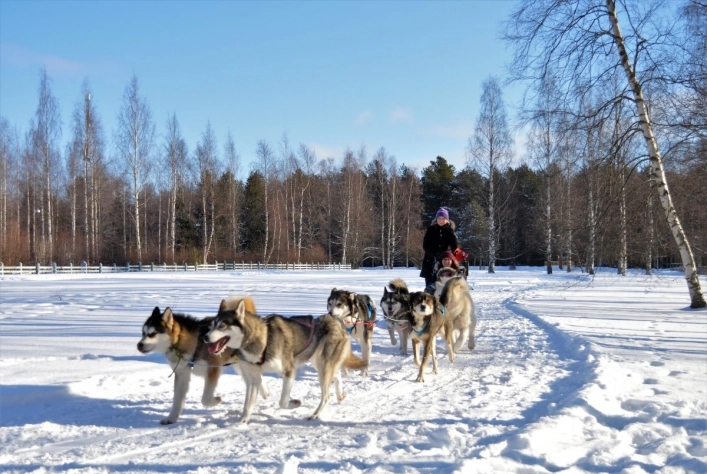 zobacz camping - zdjęcie 8