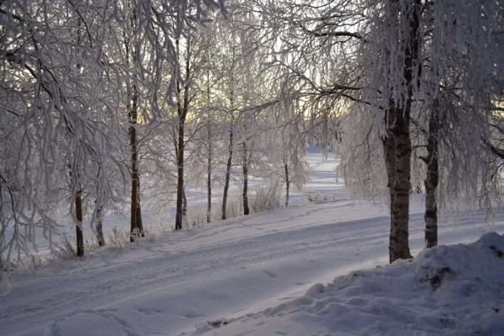 zobacz camping - zdjęcie 29