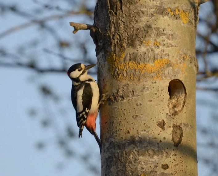 zobacz camping - zdjęcie 18