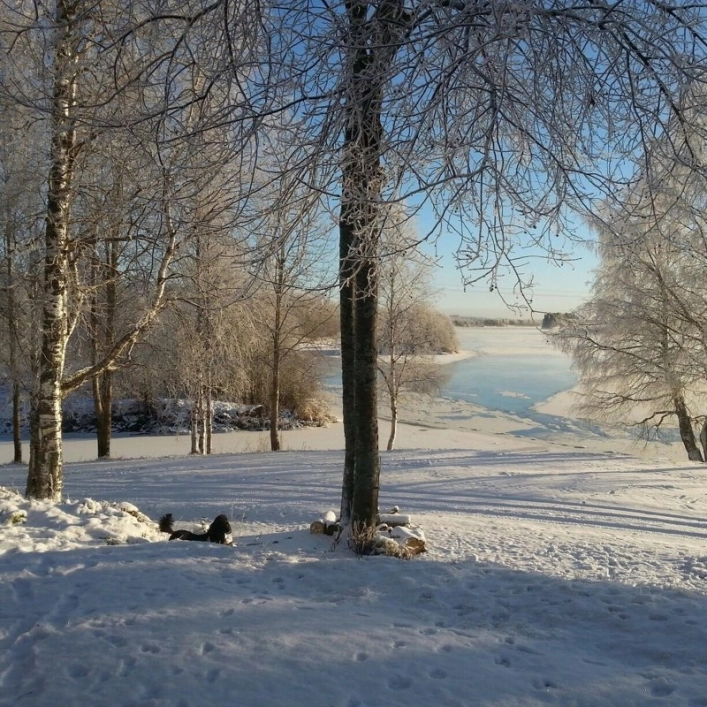 zobacz camping - zdjęcie 13