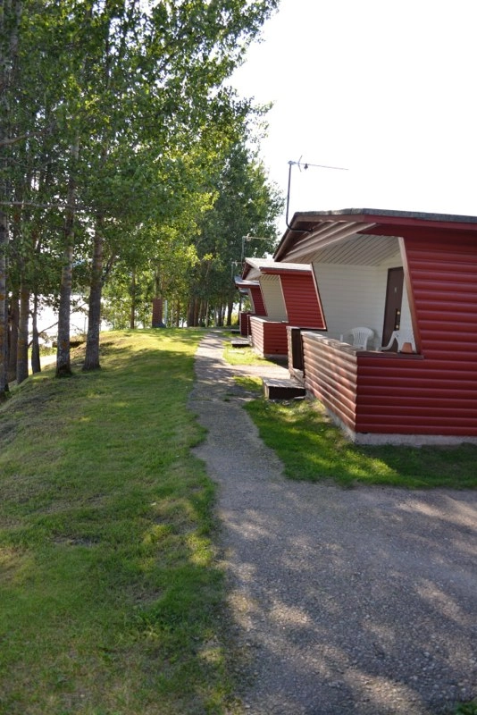 zobacz camping - zdjęcie 1