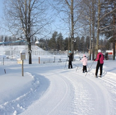 zobacz camping - zdjęcie 22