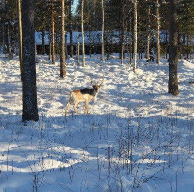 zobacz camping - zdjęcie 13