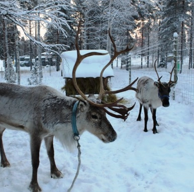 zobacz camping - zdjęcie 7