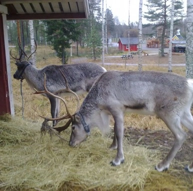 zobacz camping - zdjęcie 6
