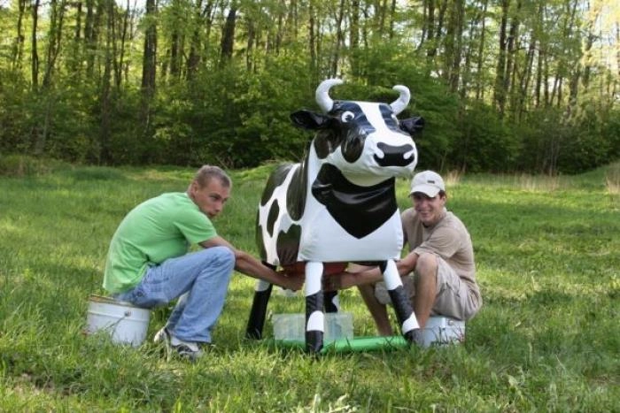 zobacz camping - zdjęcie 29