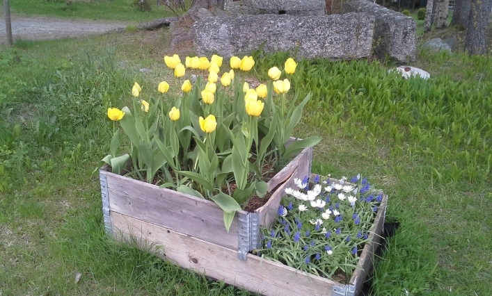 zobacz camping - zdjęcie 7