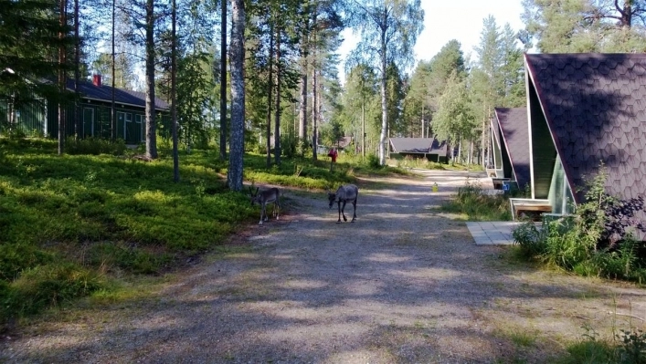 Ranuanjärvi Camping - zdjęcie 1