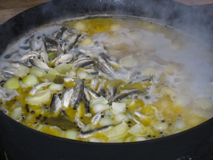 zobacz camping - zdjęcie 11