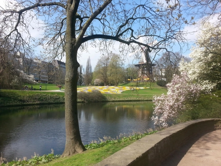 zobacz camping - zdjęcie 10