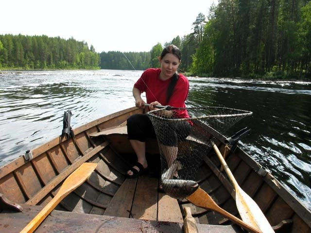 zobacz camping - zdjęcie 12