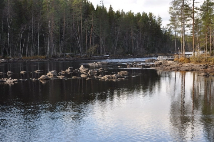 zobacz camping - zdjęcie 11