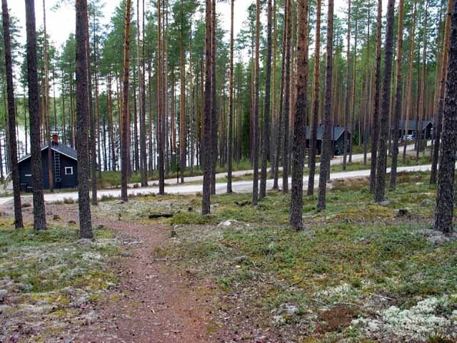 zobacz camping - zdjęcie 8