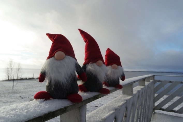 zobacz camping - zdjęcie 13