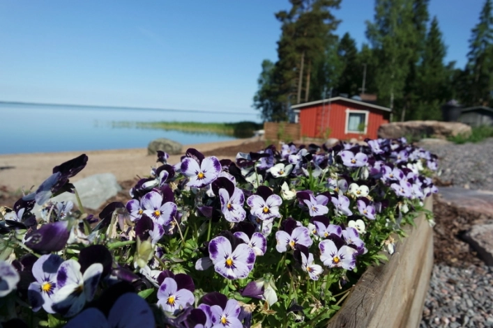 zobacz camping - zdjęcie 6