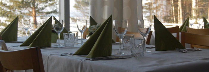 Säkylä Camping - zdjęcie 1