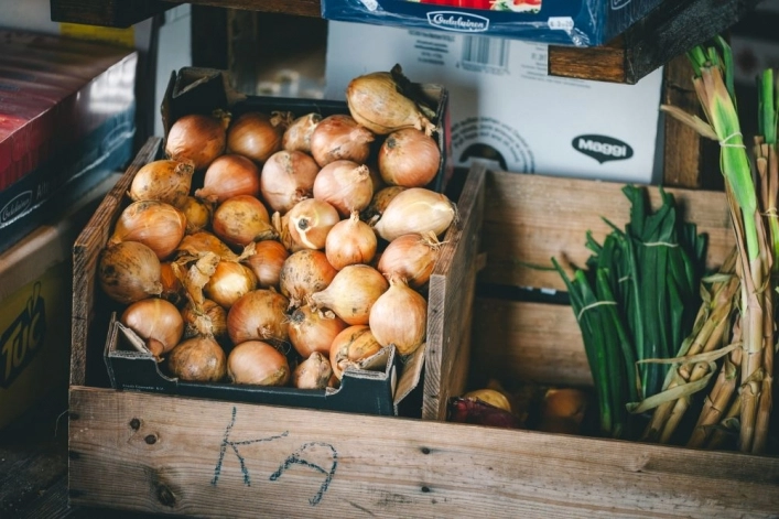 zobacz camping - zdjęcie 16