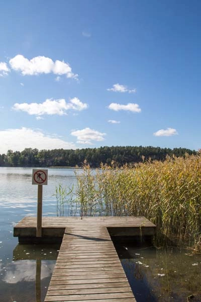 zobacz camping - zdjęcie 15