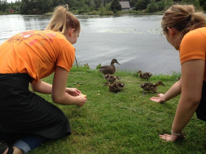 zobacz camping - zdjęcie 15