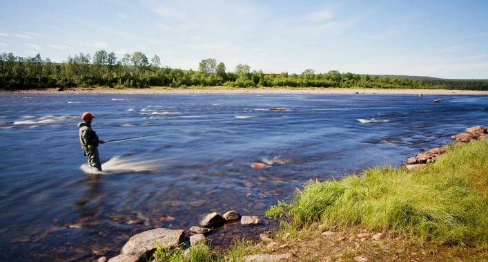 zobacz camping - zdjęcie 1