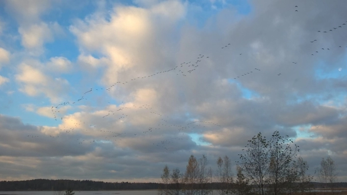 zobacz camping - zdjęcie 22