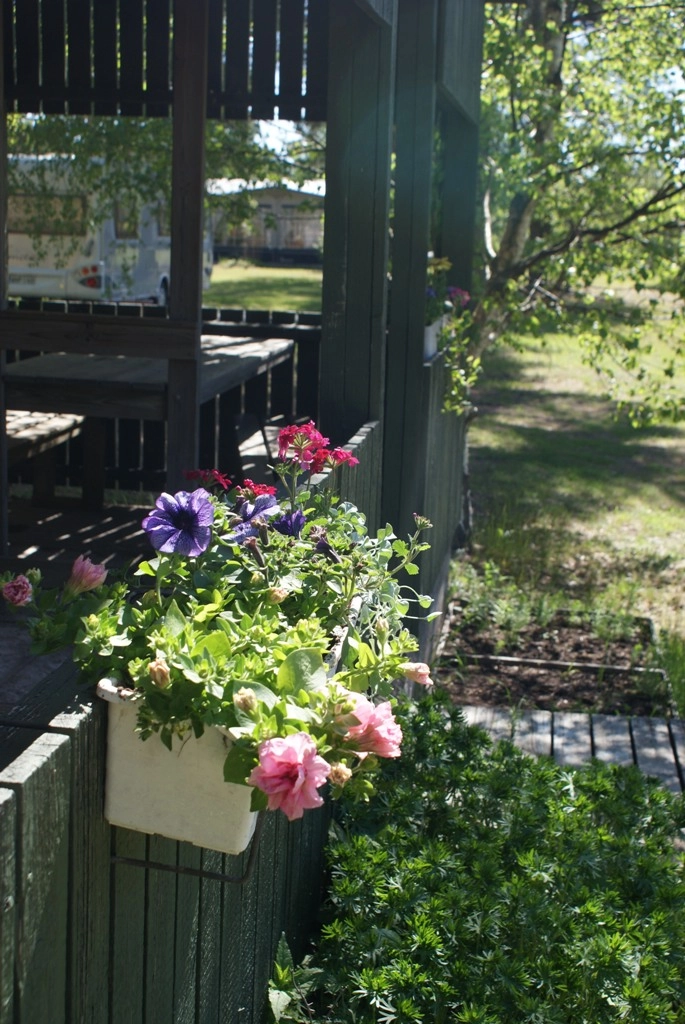 zobacz camping - zdjęcie 20