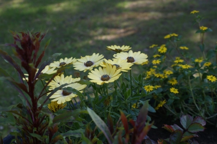 zobacz camping - zdjęcie 18