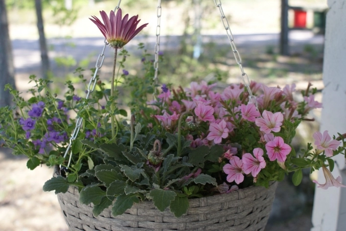 zobacz camping - zdjęcie 9