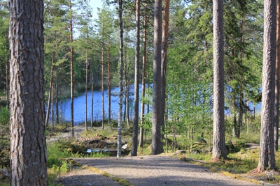 Valkeisjärven leirintäalue Camping - zdjęcie 4