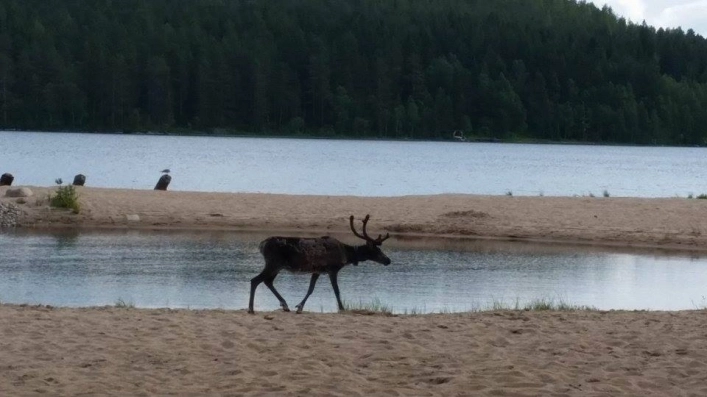 zobacz camping - zdjęcie 10