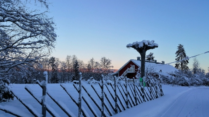 zobacz camping - zdjęcie 11