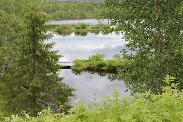 zobacz camping - zdjęcie 6