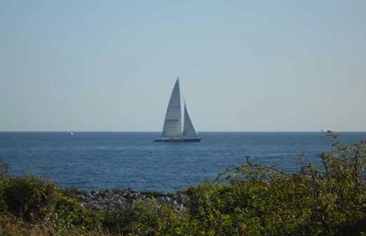 zobacz camping - zdjęcie 1