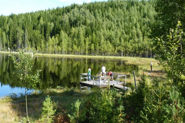 zobacz camping - zdjęcie 11