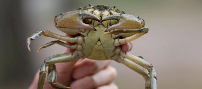 zobacz camping - zdjęcie 4