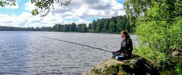 zobacz camping - zdjęcie 20