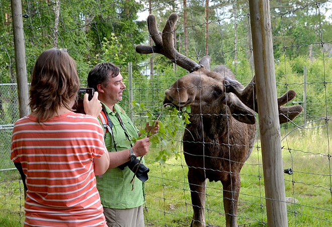 zobacz camping - zdjęcie 18