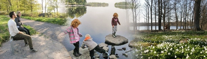 zobacz camping - zdjęcie 12