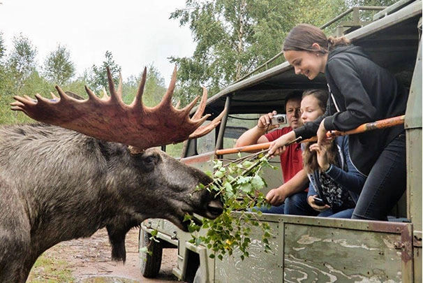 zobacz camping - zdjęcie 5