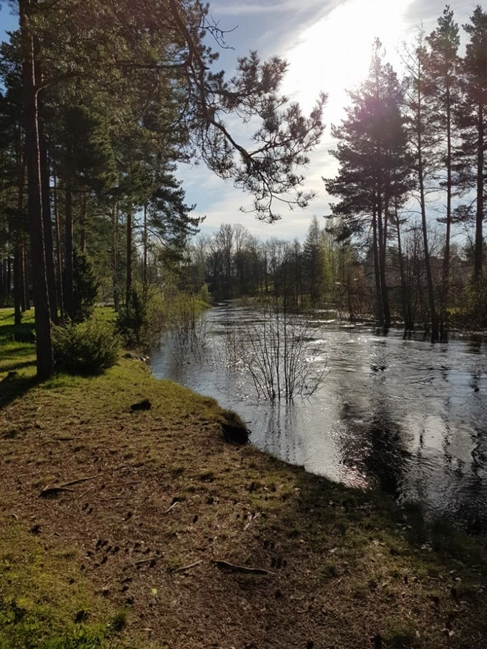 zobacz camping - zdjęcie 10