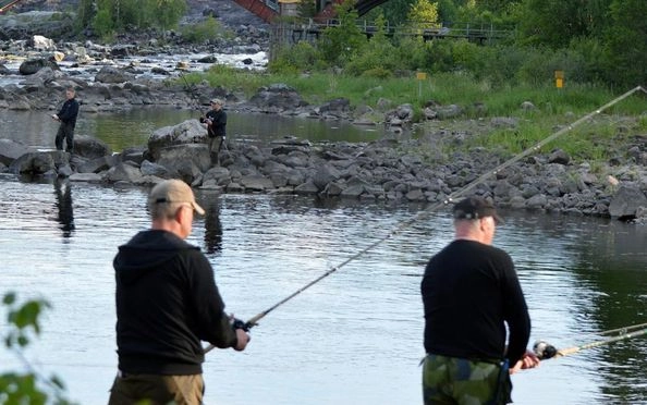 zobacz camping - zdjęcie 9