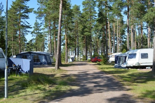 zobacz camping - zdjęcie 2