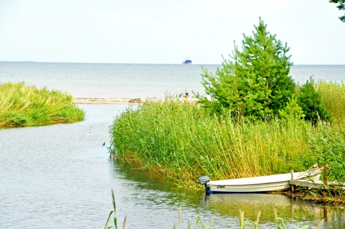 zobacz camping - zdjęcie 12