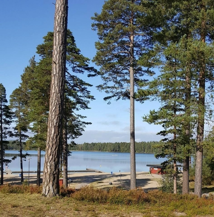 zobacz camping - zdjęcie 10