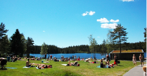 zobacz camping - zdjęcie 9