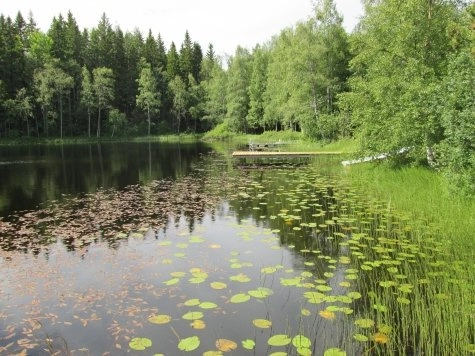 Antjärns Camping och stugby - zdjęcie 2