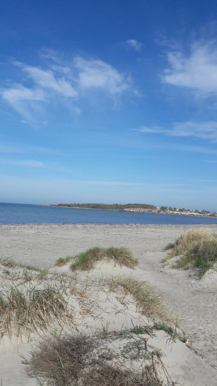 zobacz camping - zdjęcie 12