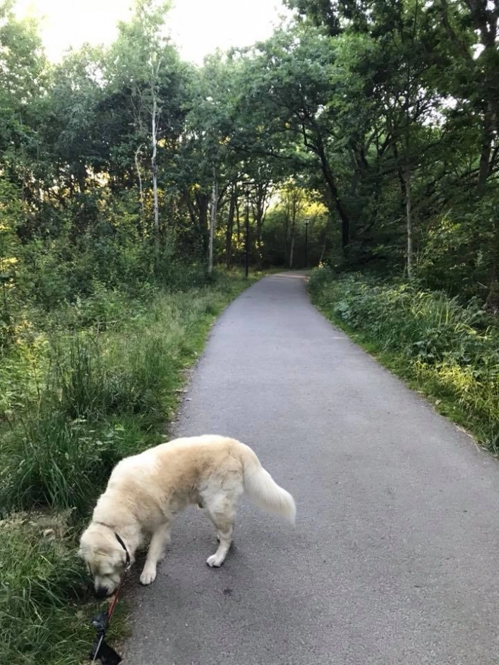 zobacz camping - zdjęcie 11